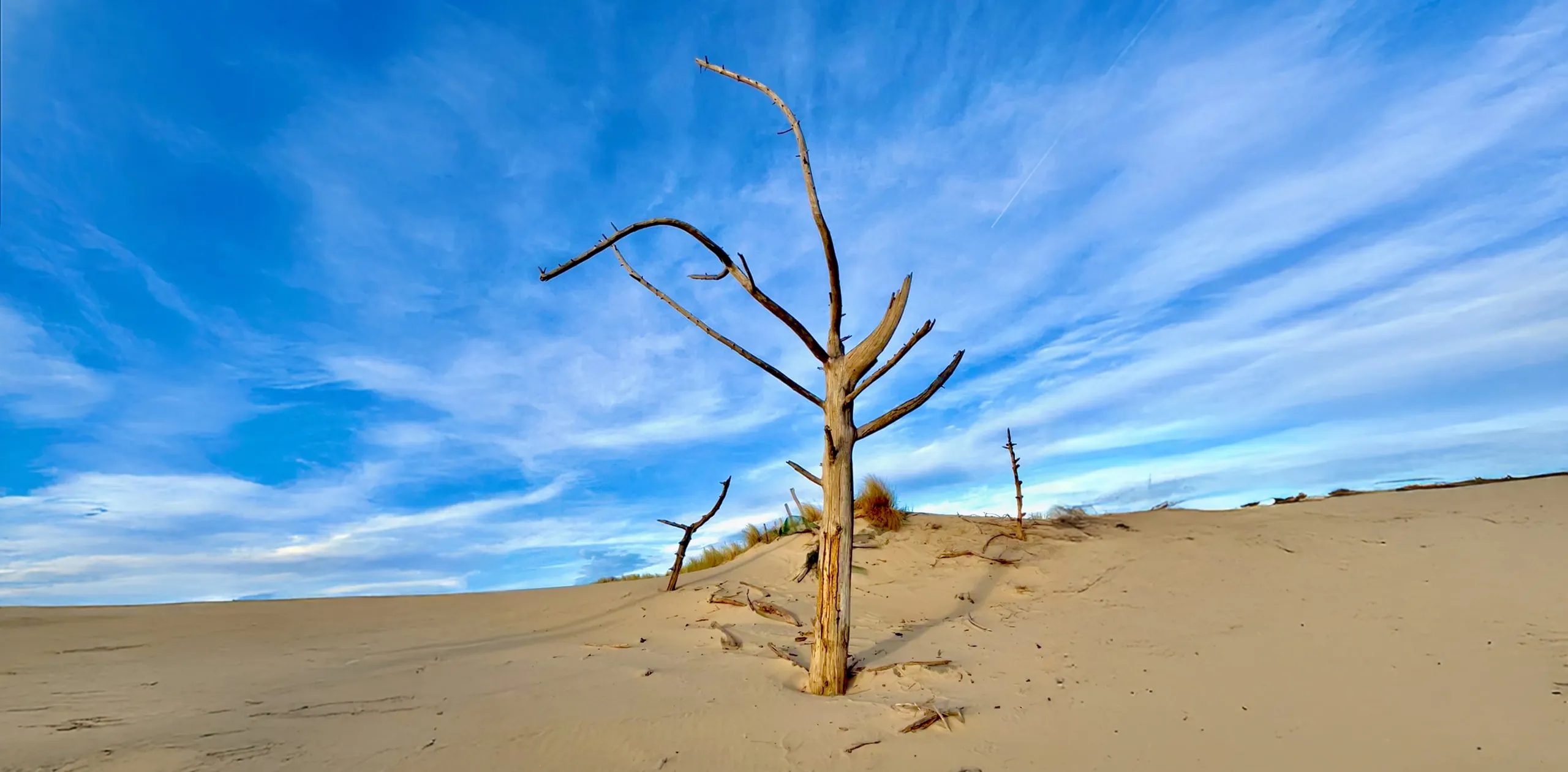 Dunes du Bassin d'Arcachon — Born To Be Web